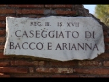 05159 ostia - regio iii - insula xvii - caseggiato di bacco e arianna (iii,xvii,5) - schild.jpg